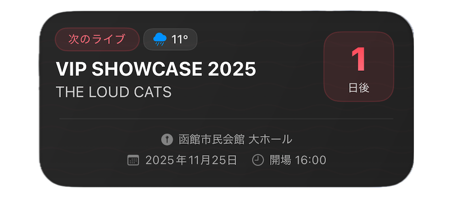 iOS Widgets